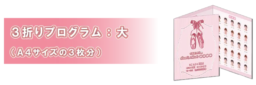 ３折プログラム：大／PC表示