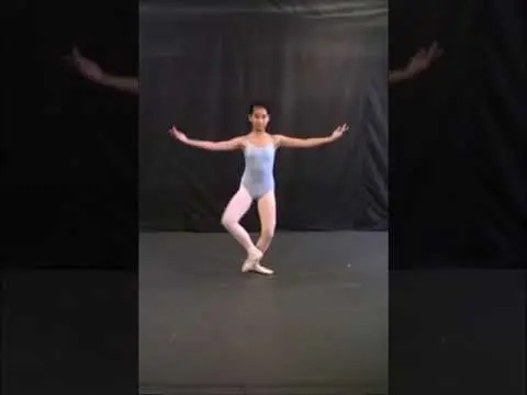 Pas de chat／パ・ド・シャの動画／バレエ用語集