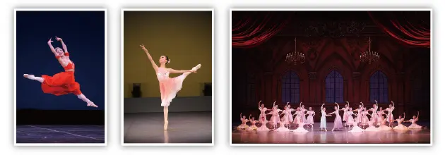 フォトクリエイトの紹介｜ムースタジオ